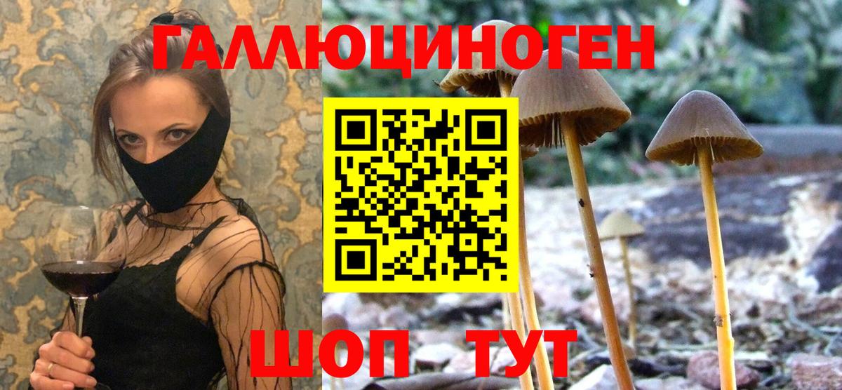 Галлюциногенные грибы Magic Shrooms  Галлюциногенные грибы прущие грибы  Вход с VPN  Заречный 