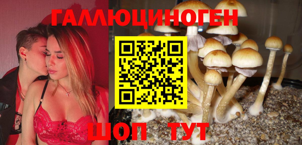 Псилоцибиновые грибы мухоморы Заречный